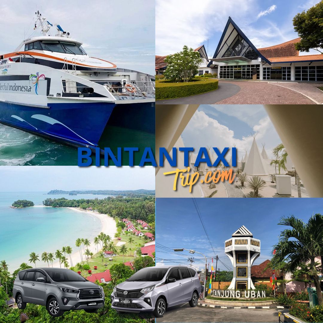 Ferry Termina/Hote To Tanjung Uban 7 Seat/way